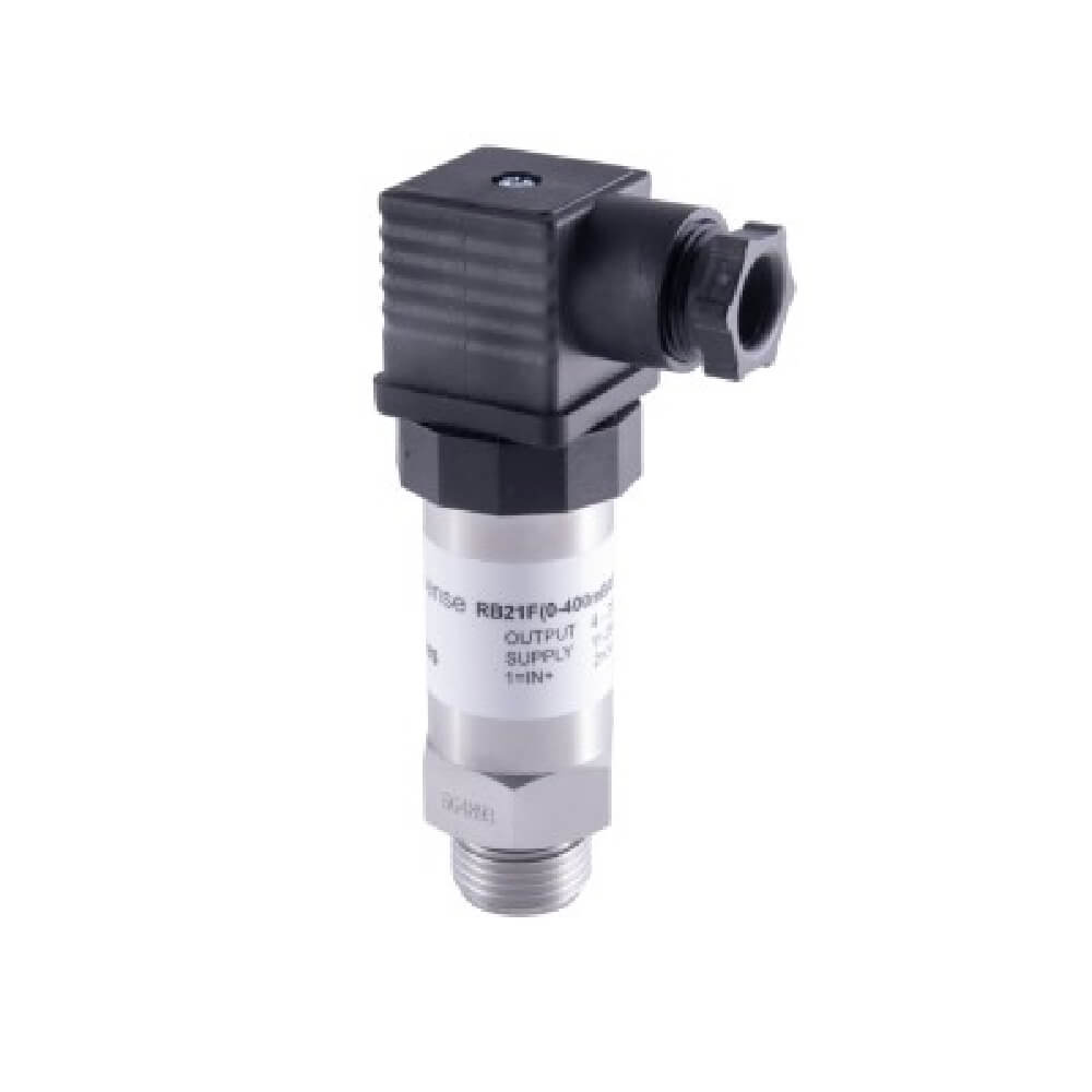 Flush Diaphragm Pressure Transmitter (RB21F)